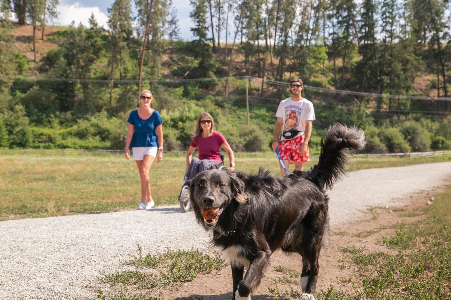 three people with dog in the foreground at a dog park