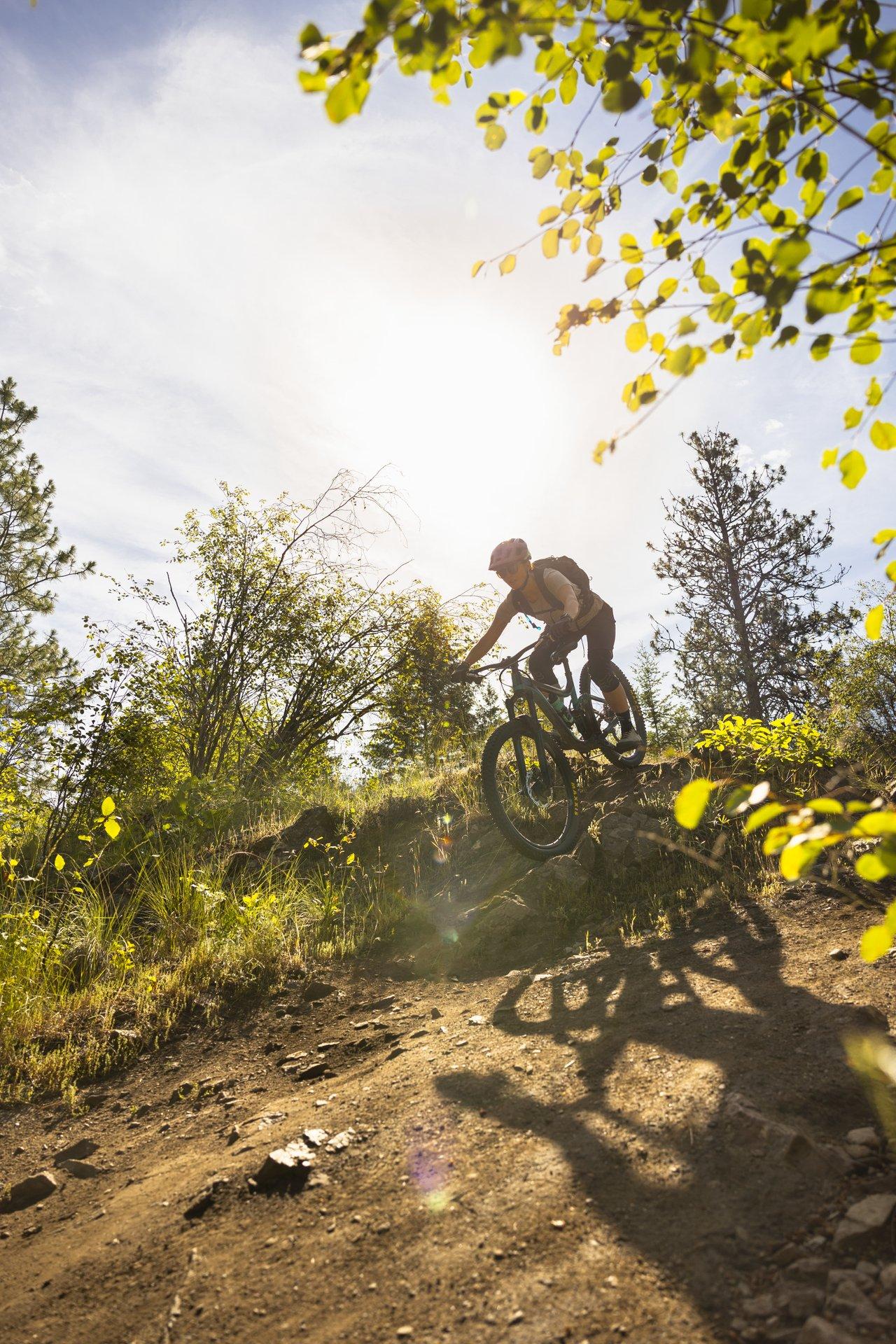 mountain biker descending on trail with sunshine behind them