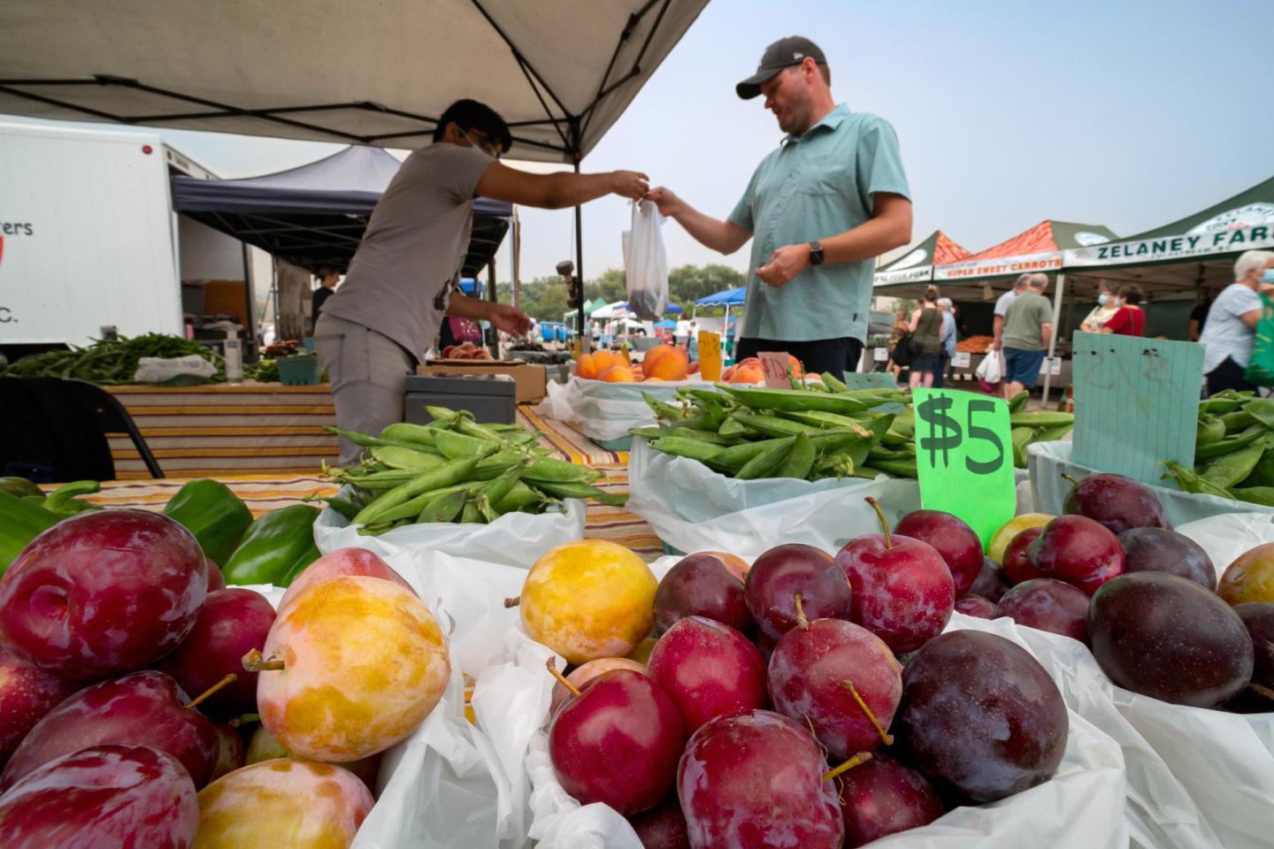 Farmers market stall with colorful plums, two people exchanging money.