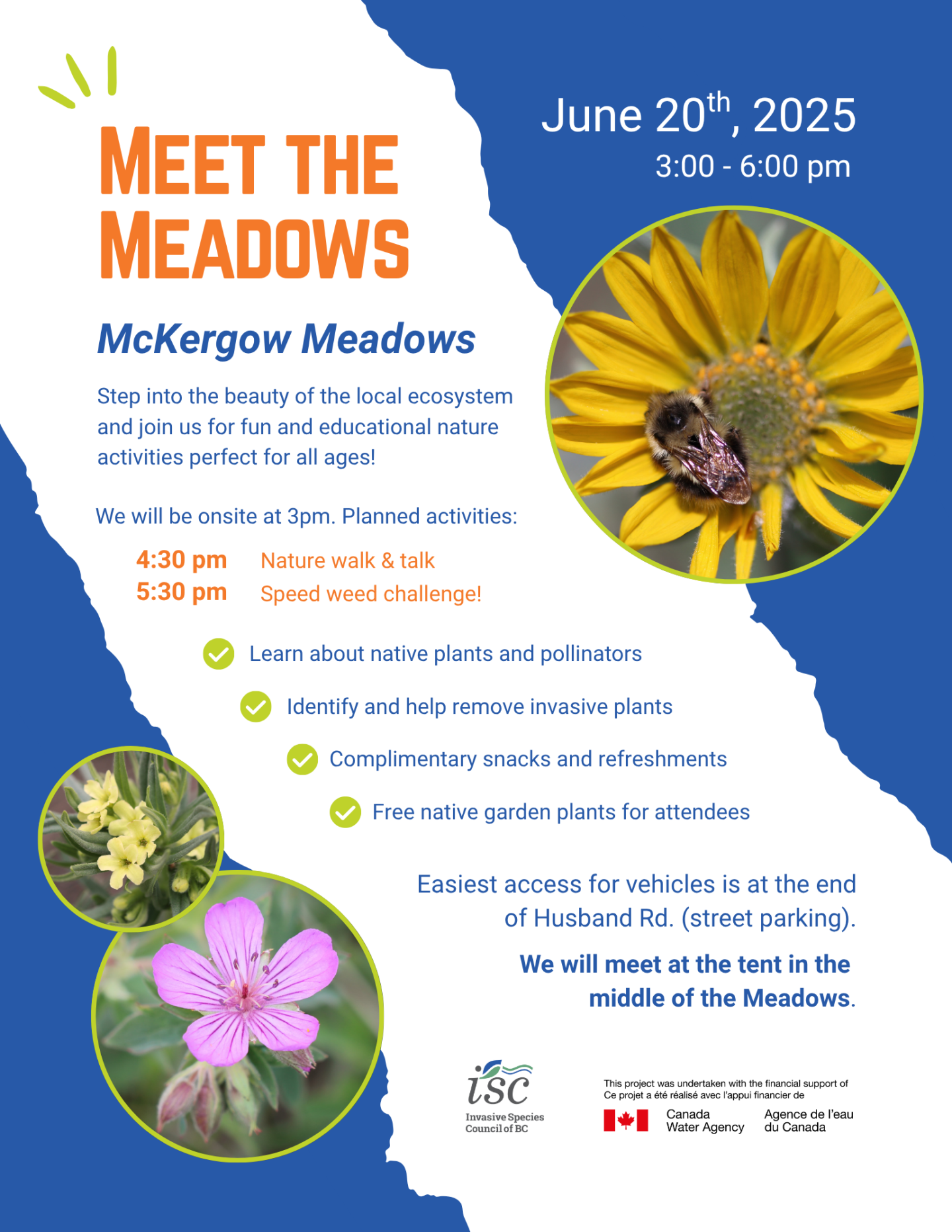 Poster Description – "Meet the Meadows" Meet the Meadows takes place at McKergow Meadows on June 20, 2025, from 3:00–6:00 pm. Activities: 4:30 pm: Nature walk & talk 5:30 pm: Speed weed challenge Learn about native plants and pollinators Remove invasive species Free snacks and native plants Location: Meet at the tent in the Meadows. Parking at the end of Husband Rd. Hosted by the Invasive Species Council of BC with support from the Canada Water Agency. Includes images of native flowers
