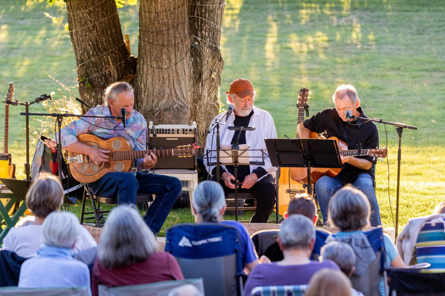 Three musicians playing guitars outdoors, audience seated on grass, tree in background.