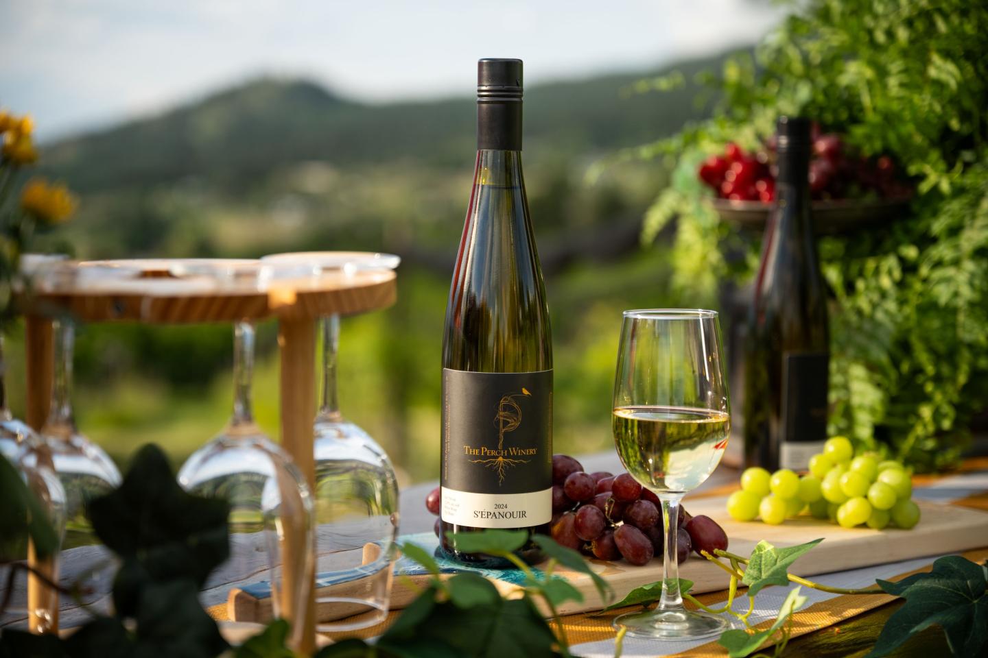 Wine on a table with grapes, glasses, and a vineyard view.