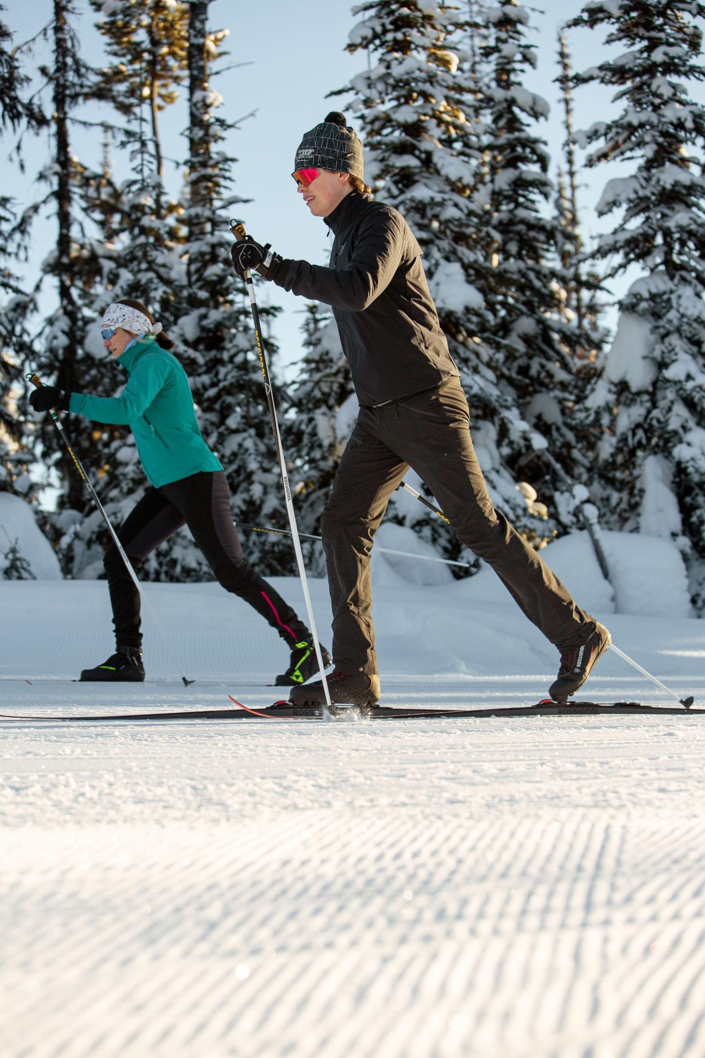 Cross-country skiers on a snowy trail, surrounded by trees.