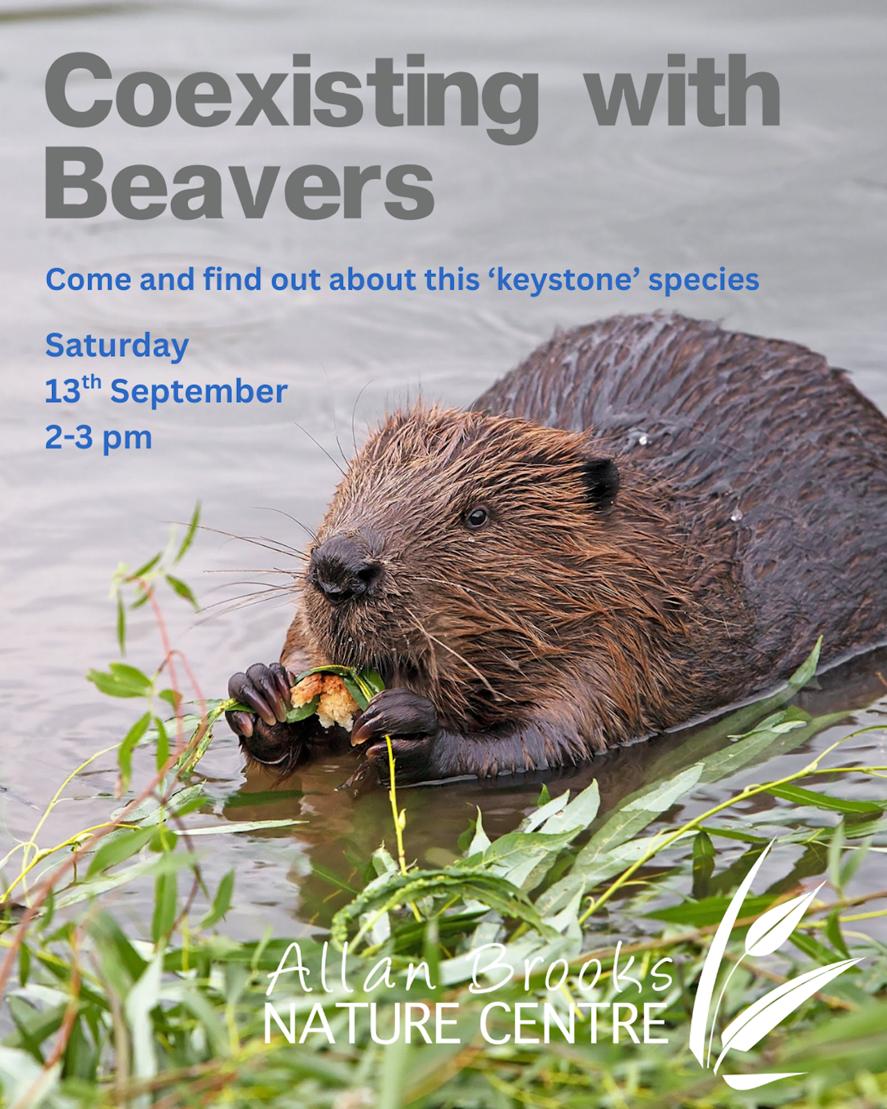 Workshop - Coexisting with Beavers & Wildlife Care