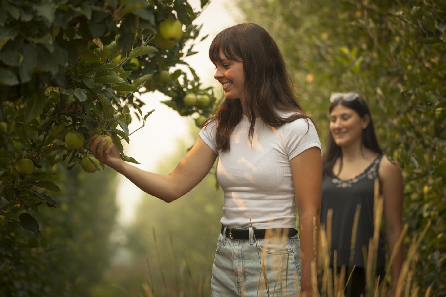 Woman in orchard picking apples, another smiling in the background.