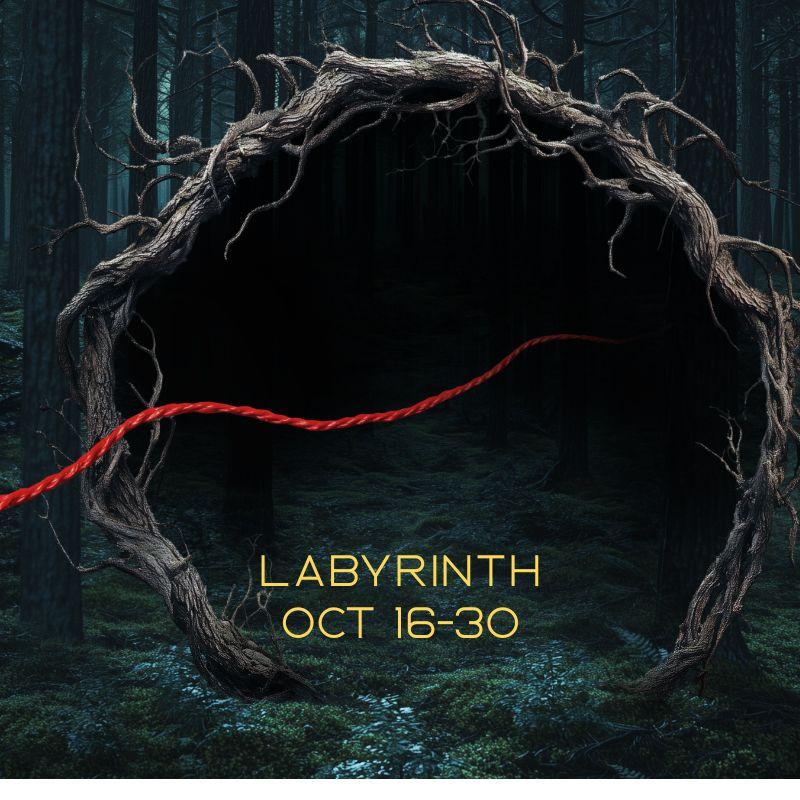 Dark forest scene with twisted branches forming a circular arch.