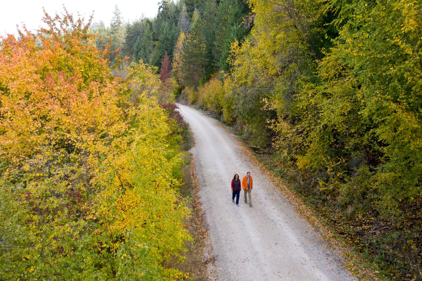 Two people walk on a forest trail surrounded by autumn trees.