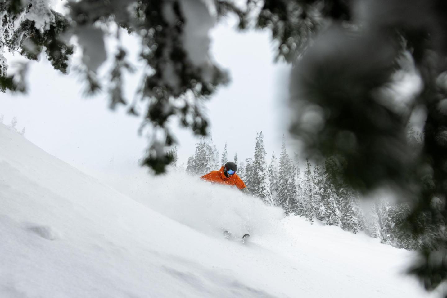 Skier in orange jacket gliding through snowy forest slope.