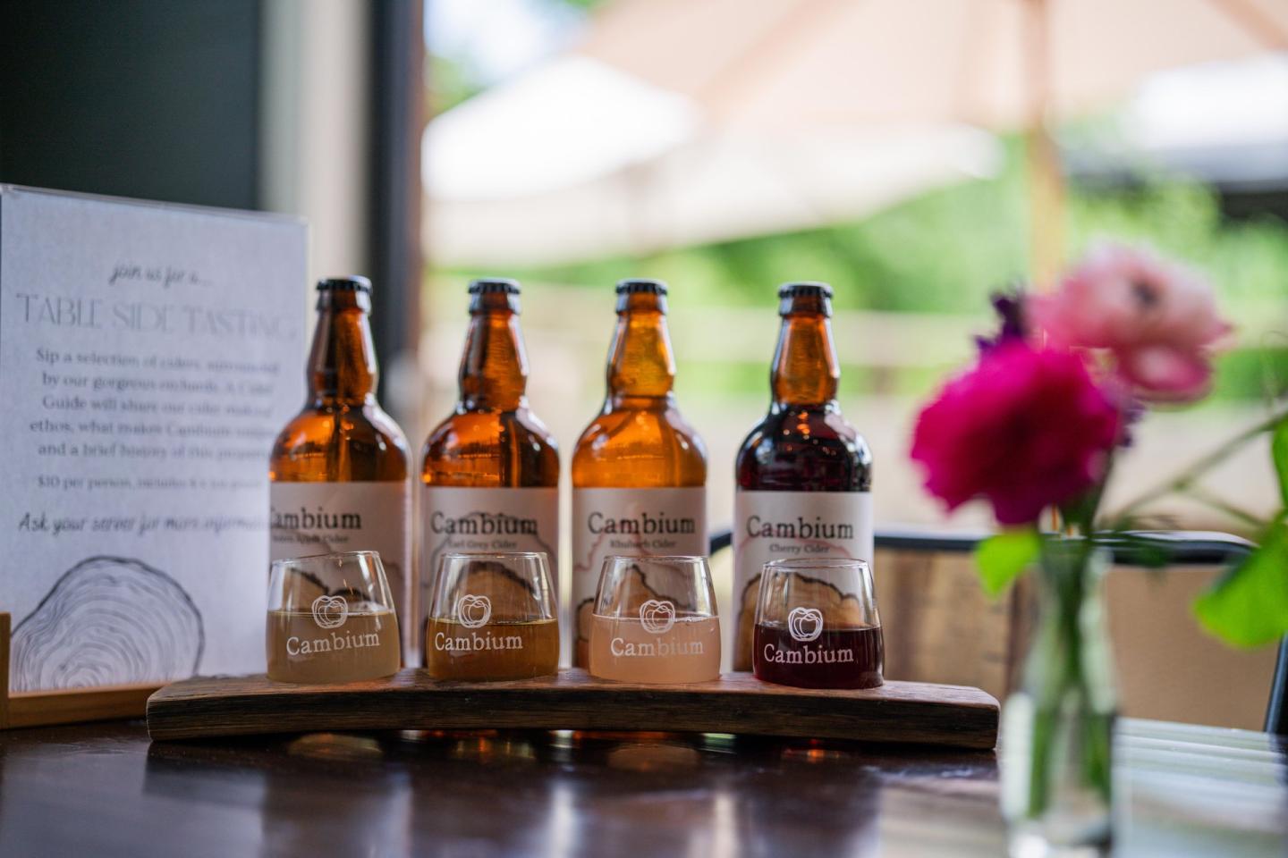 Four craft cider bottles on a wooden stand, with a pink flower in a vase nearby.