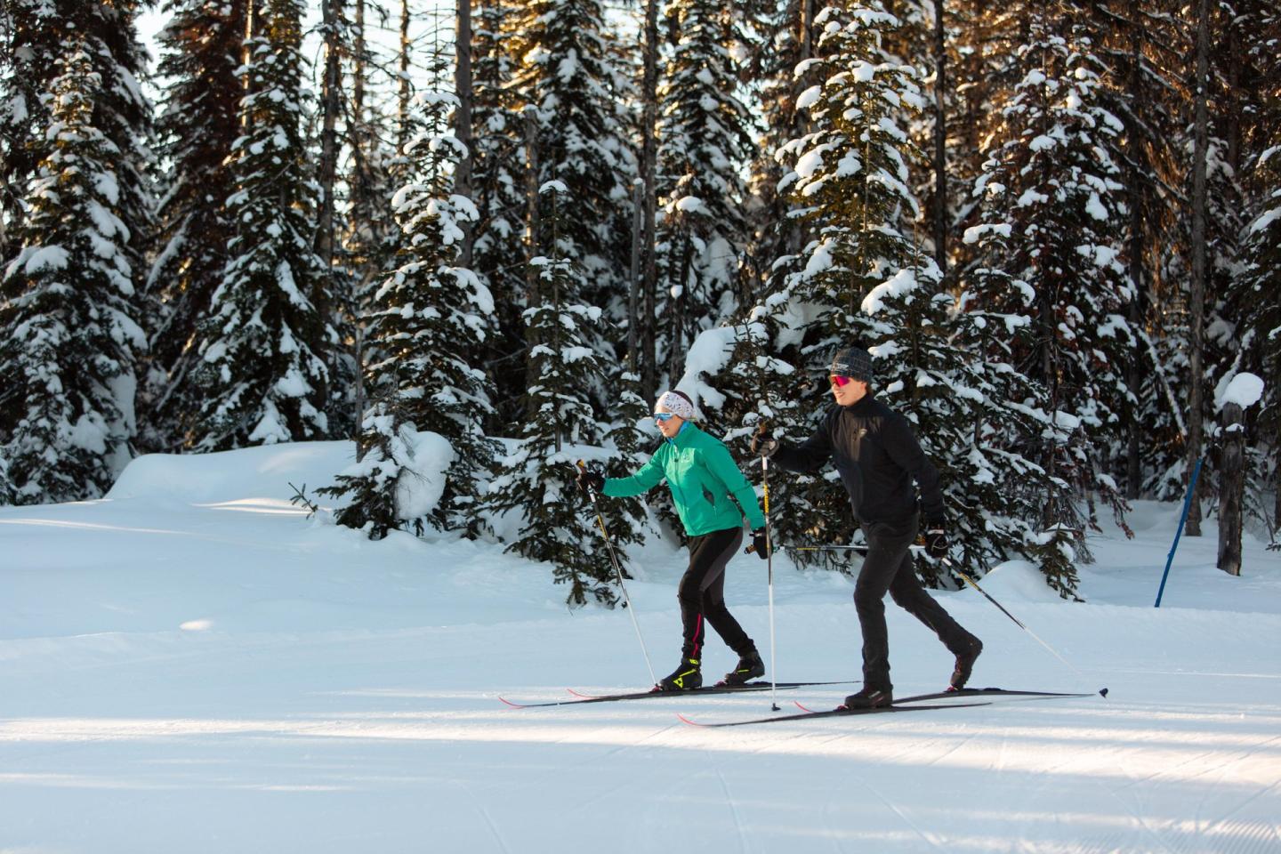 Two people cross-country skiing in a snowy forest.