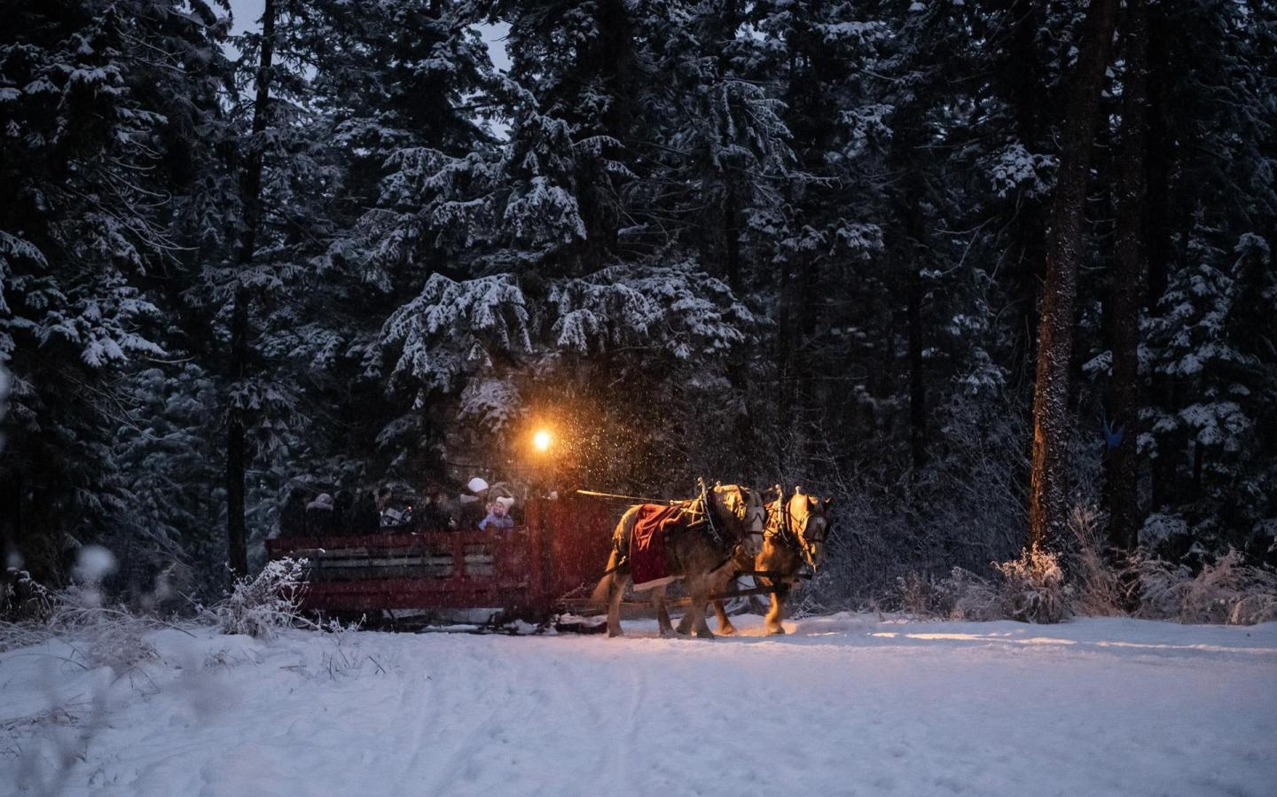 Horse-drawn sleigh in snowy forest at dusk, emitting warm light.