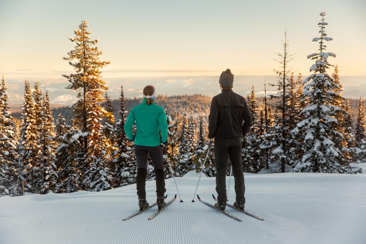 Two skiers on a snowy hill, surrounded by trees at sunset.