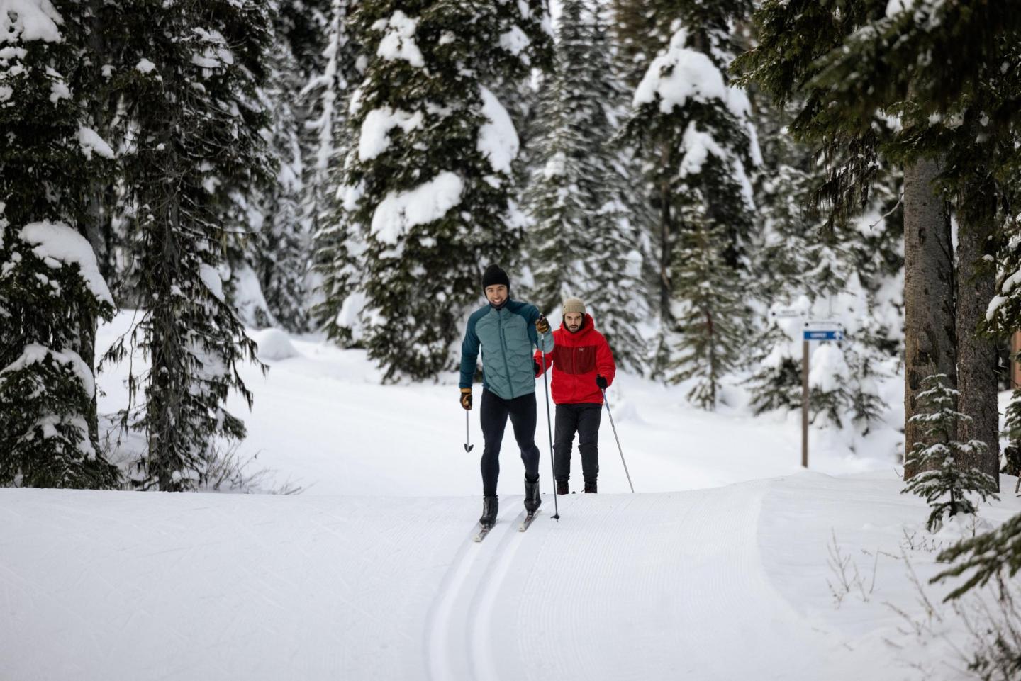 Cross-country skiers in a snowy forest trail, surrounded by tall trees.