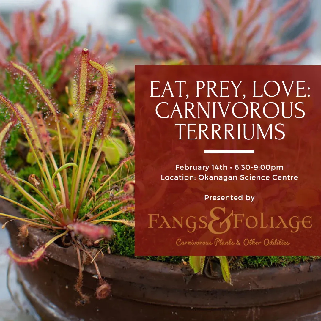 Eat, Prey, Love: Carnivorous Terrariums Poster