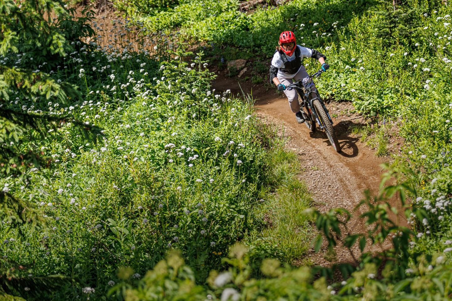 As part of the women's and men's enduro races, you will get to enjoy a variety of trails at SilverStar Bike Park on NOCS PedalFest weekend.