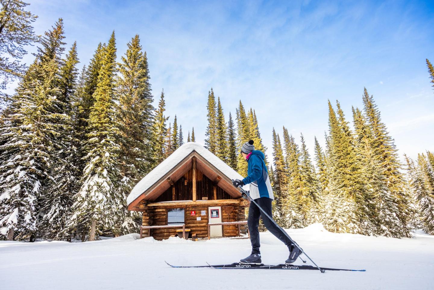 Cross-country skier passing a snow-covered cabin in a forest.