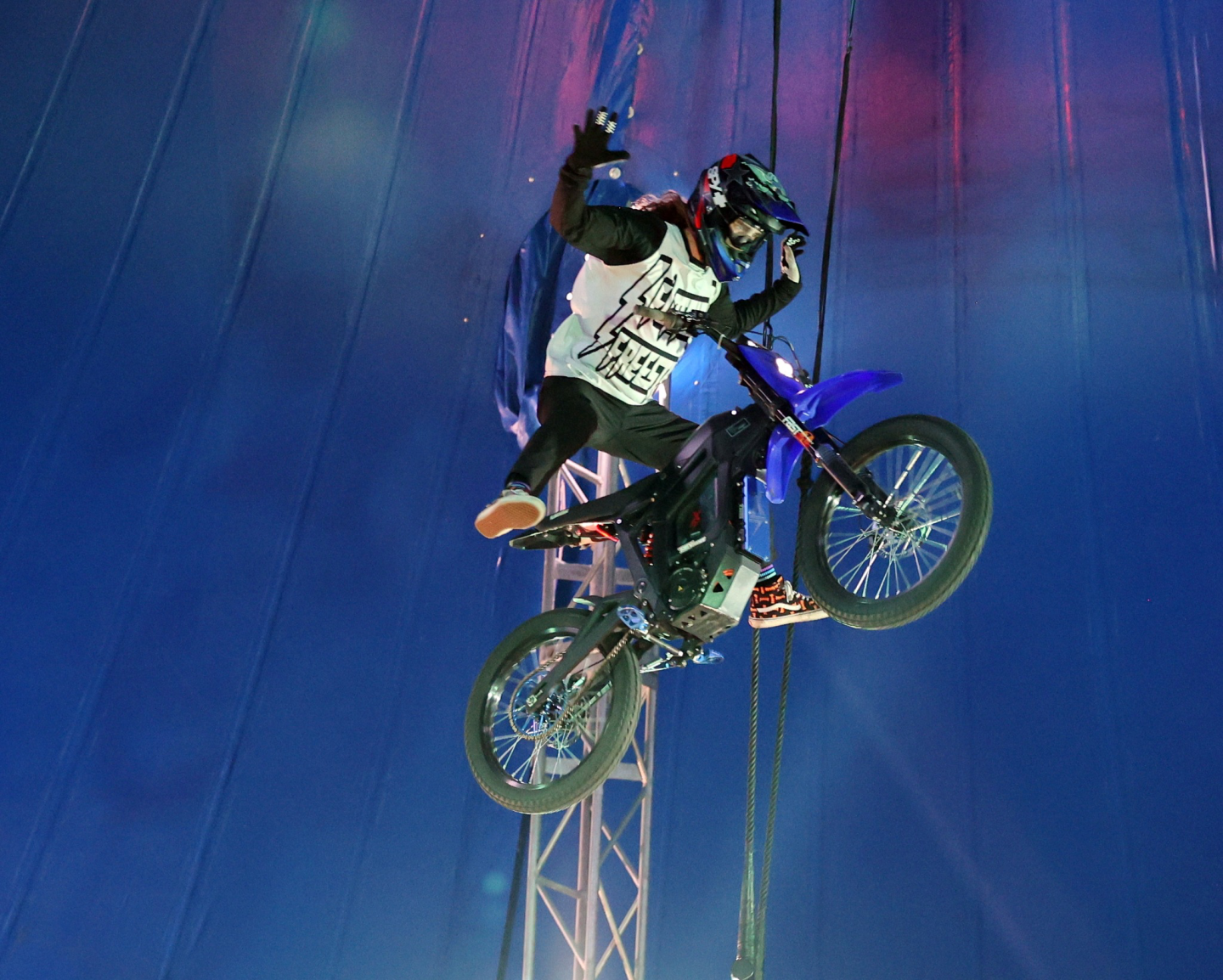 Fun for the whole family. Our Circus is a non-animal circus where you can see acrobatics, clowns and stunts.