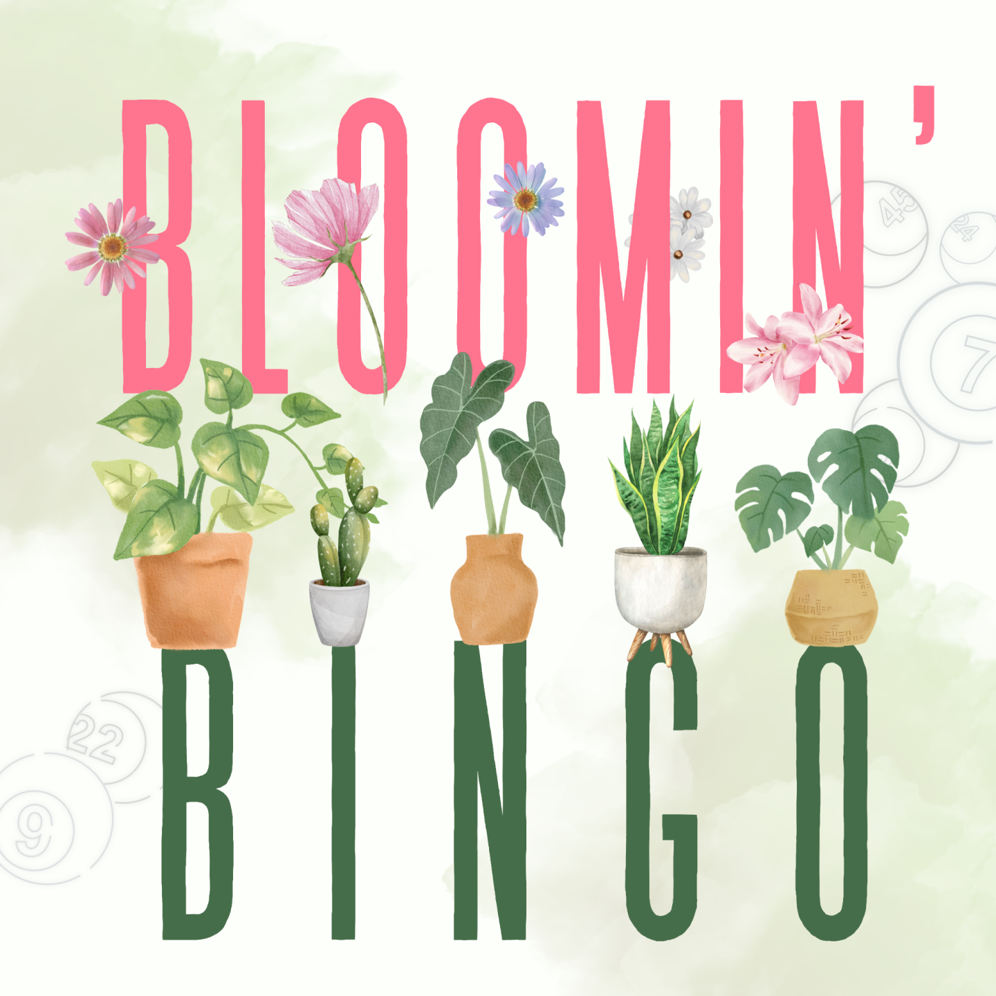 Plants and Bingo 
