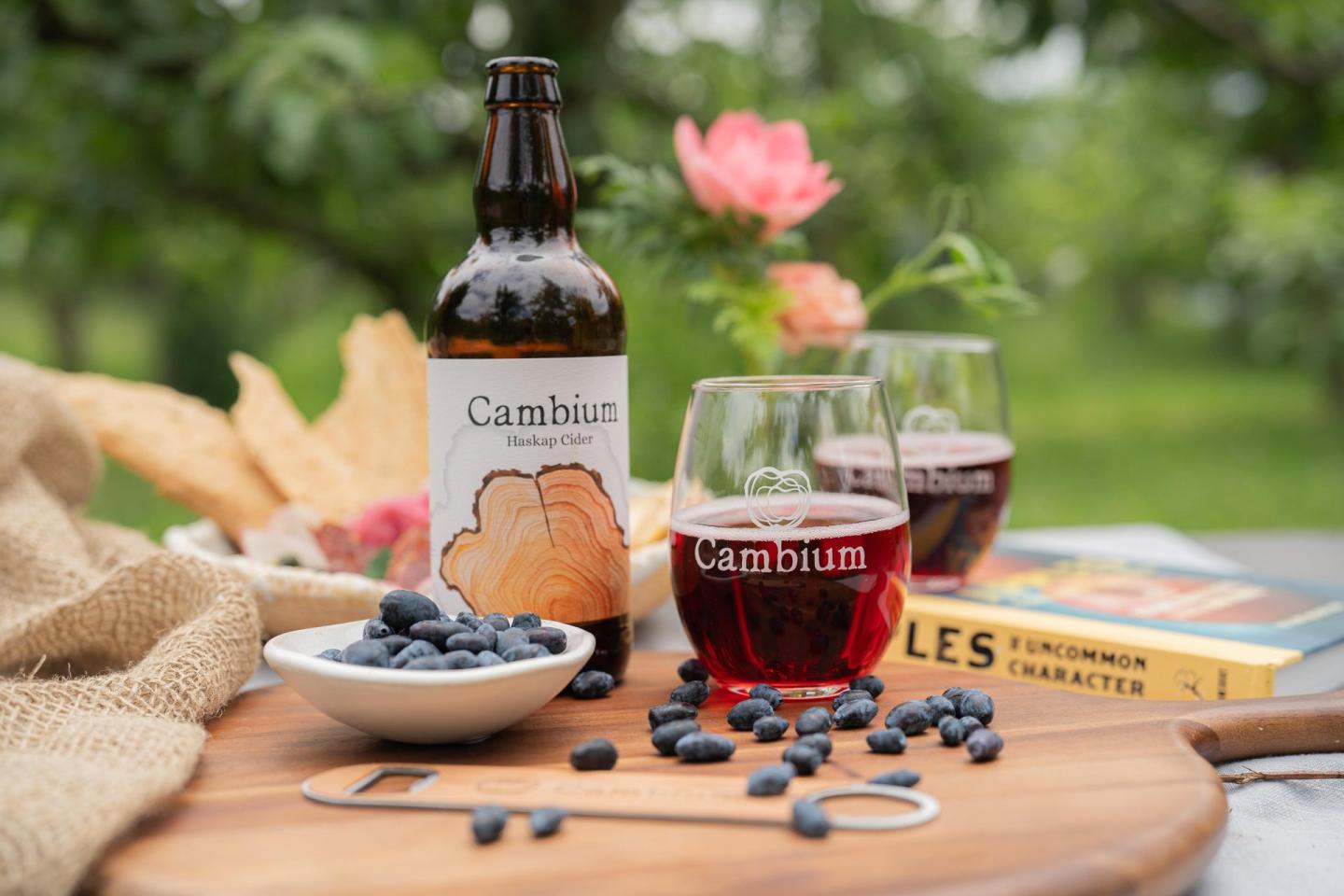 Beer bottle and glasses on a table with blueberries and a pink flower.