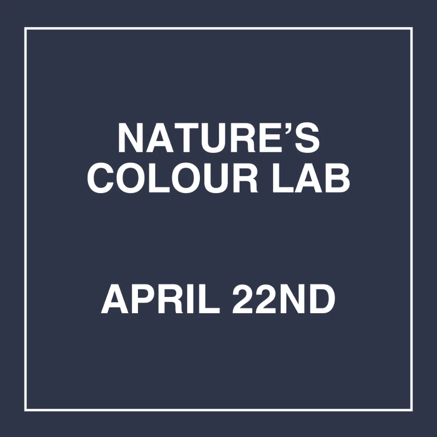 colour lab logo