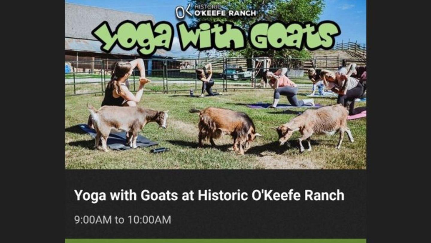 Yoga with Goats at Historic O'Keefe Ranch