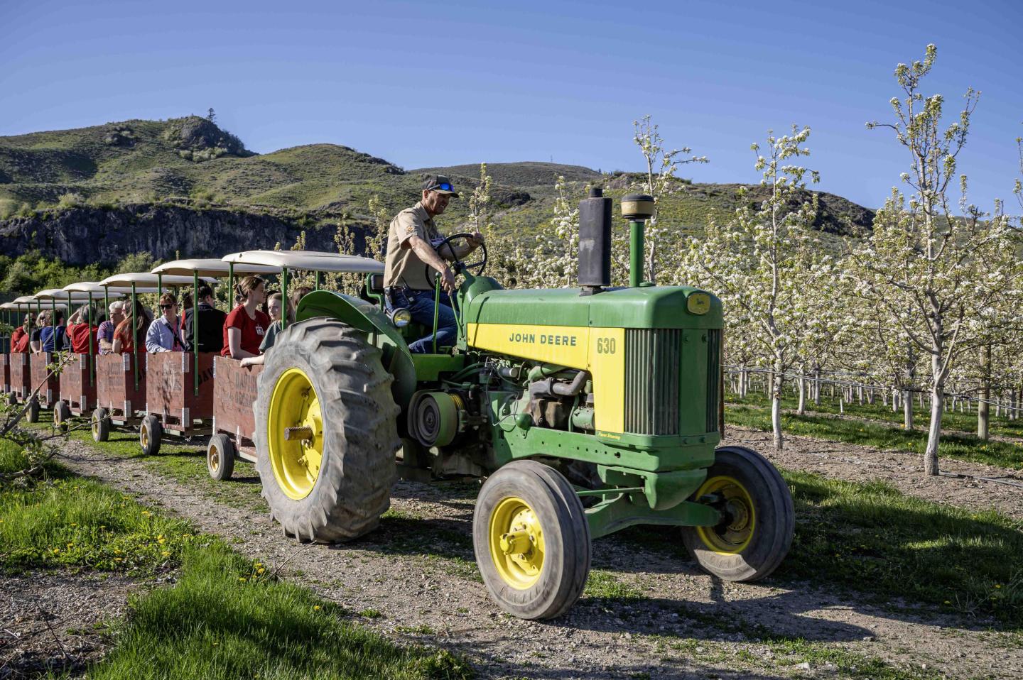 Orchard Tour: Tractor pulling carts made out of apple bins