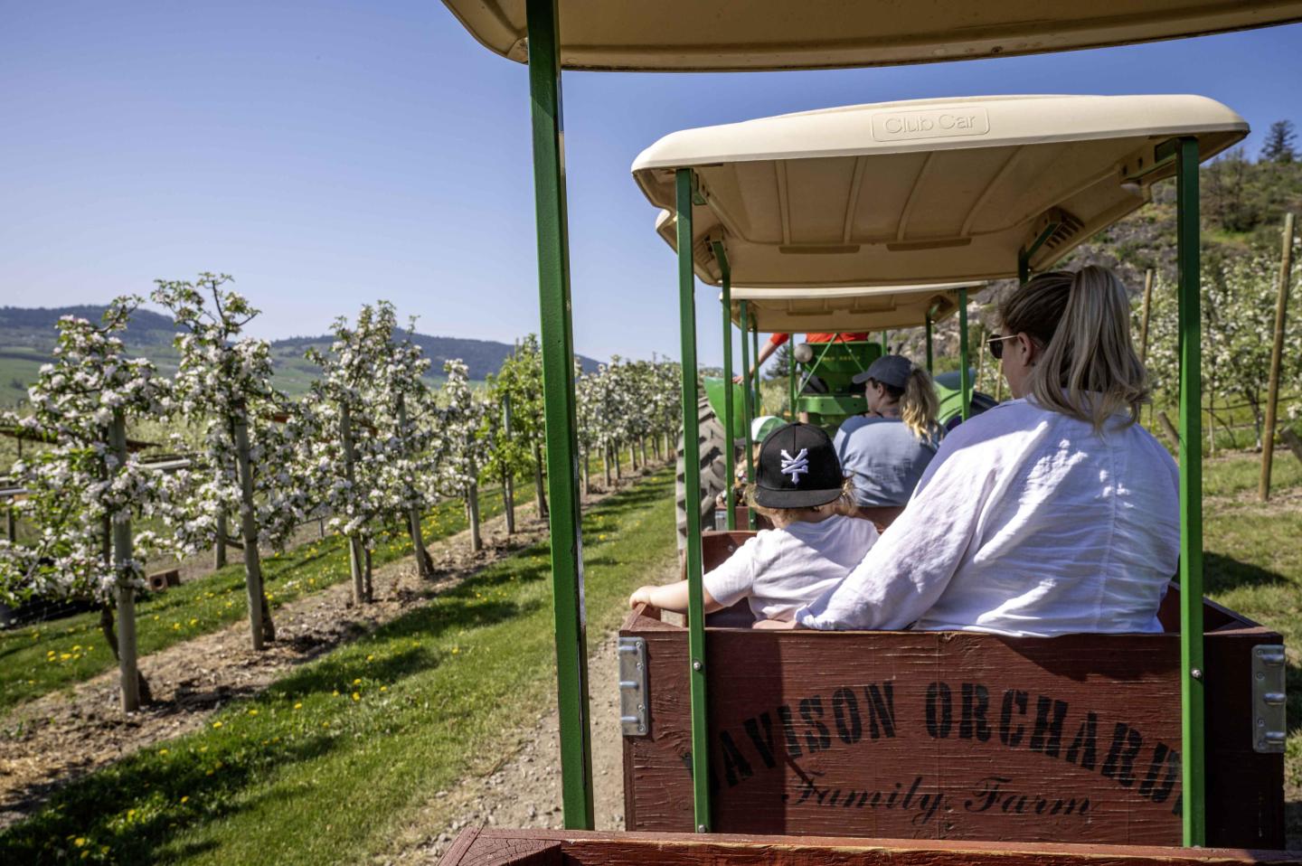Families enjoying Orchard Tour