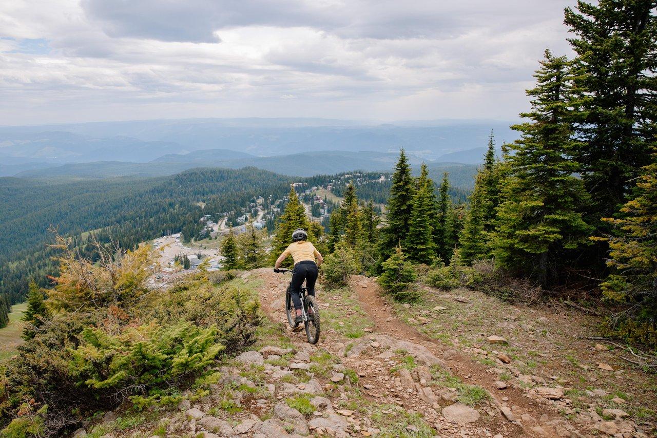 Cyclist on mountain trail with evergreen trees and distant hills.