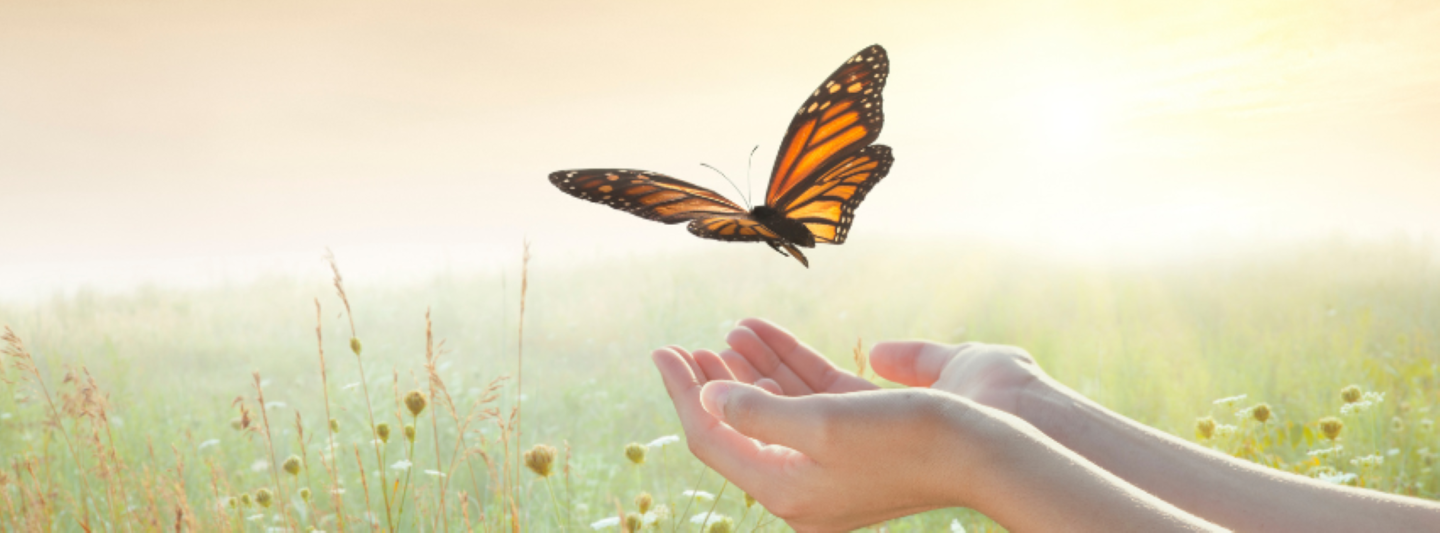 The release of live butterflies, symbolizing transformation, hope, and the enduring spirit of those we cherish.