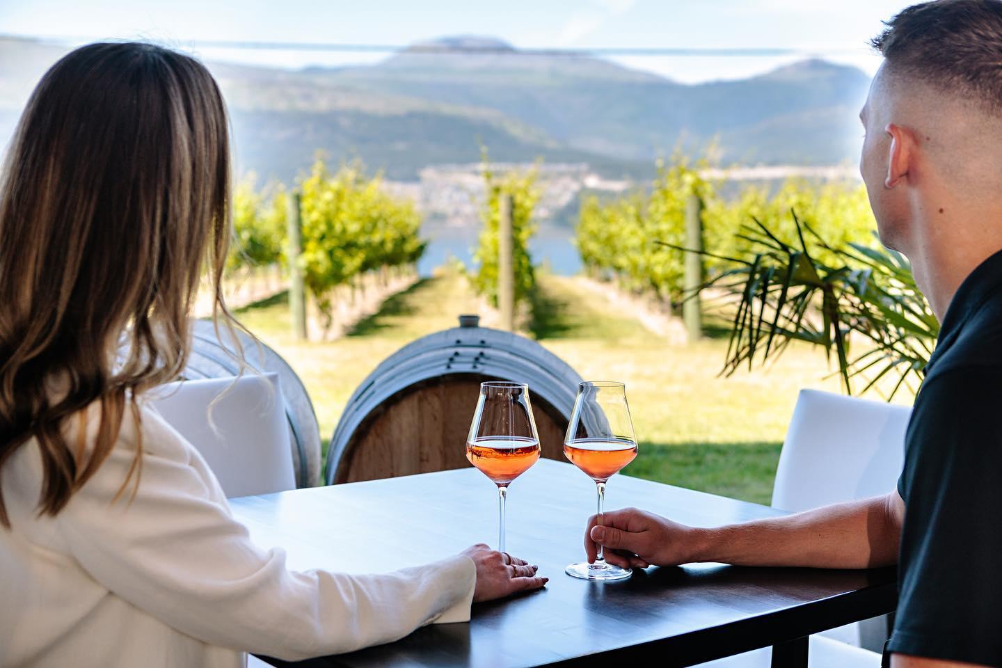 Sip Happens Wine Tours Photo