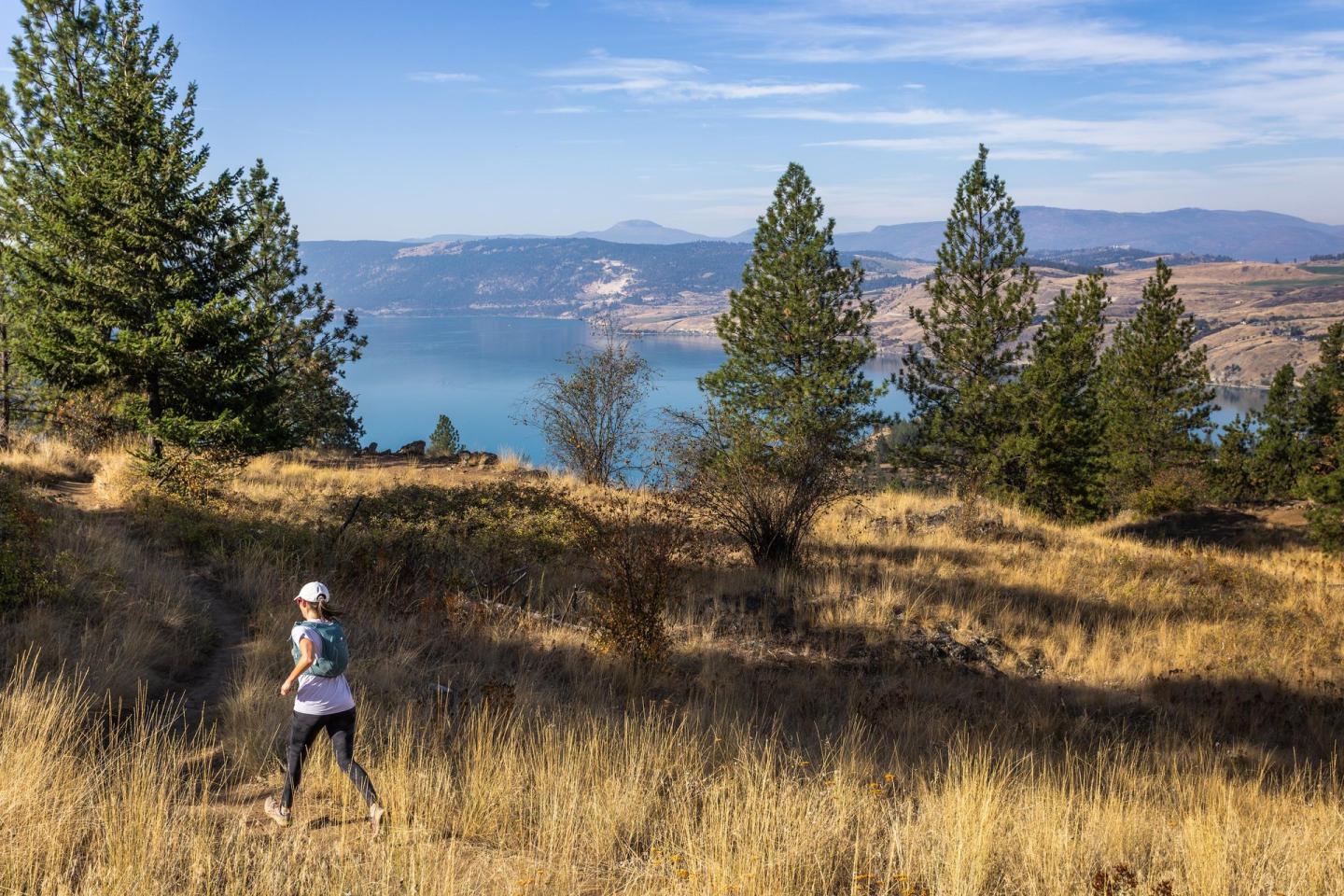 Runner on trail through grassy hillside, overlooking lake and mountains.