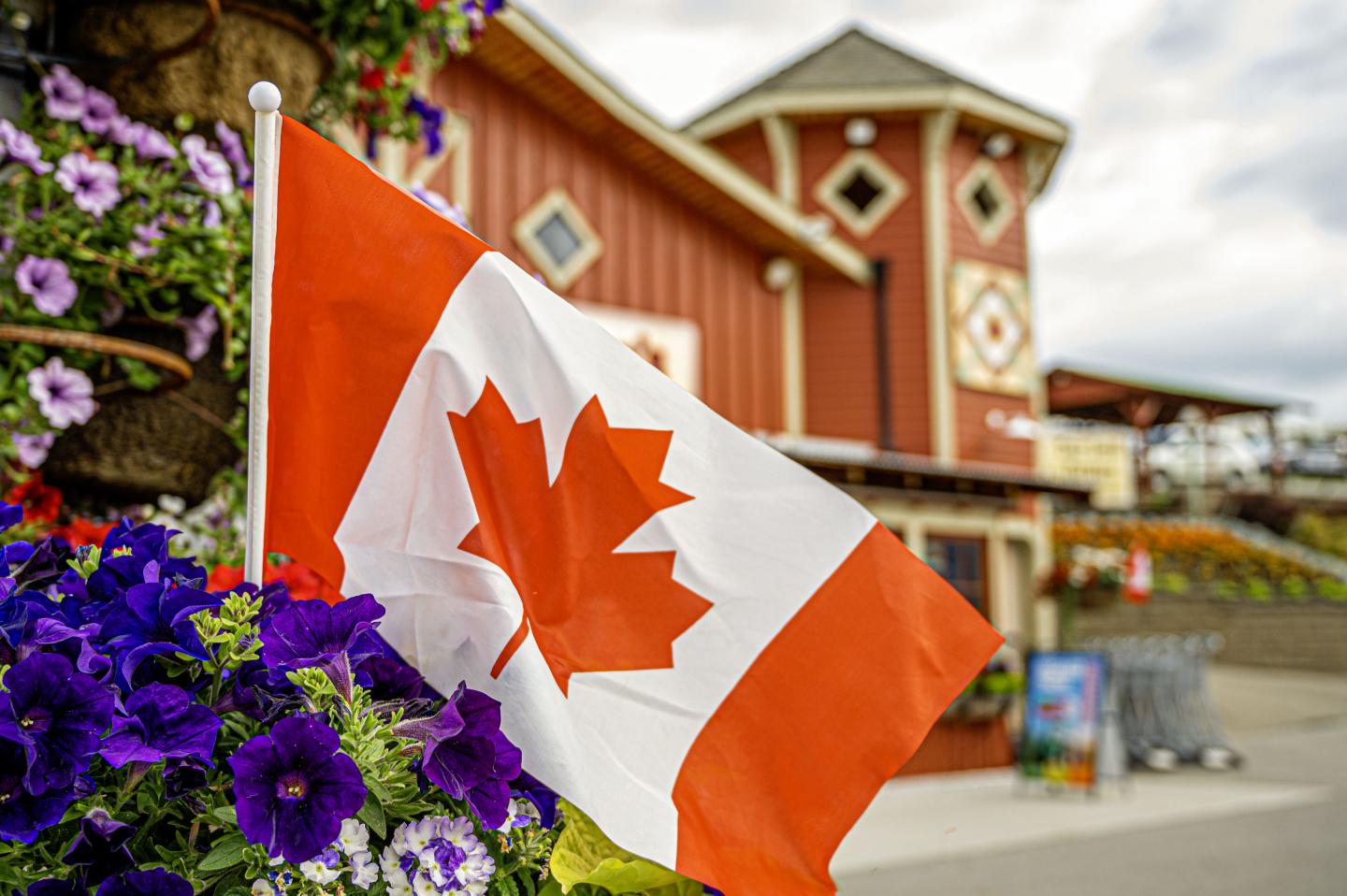 Canada Day at Davison Orchards 