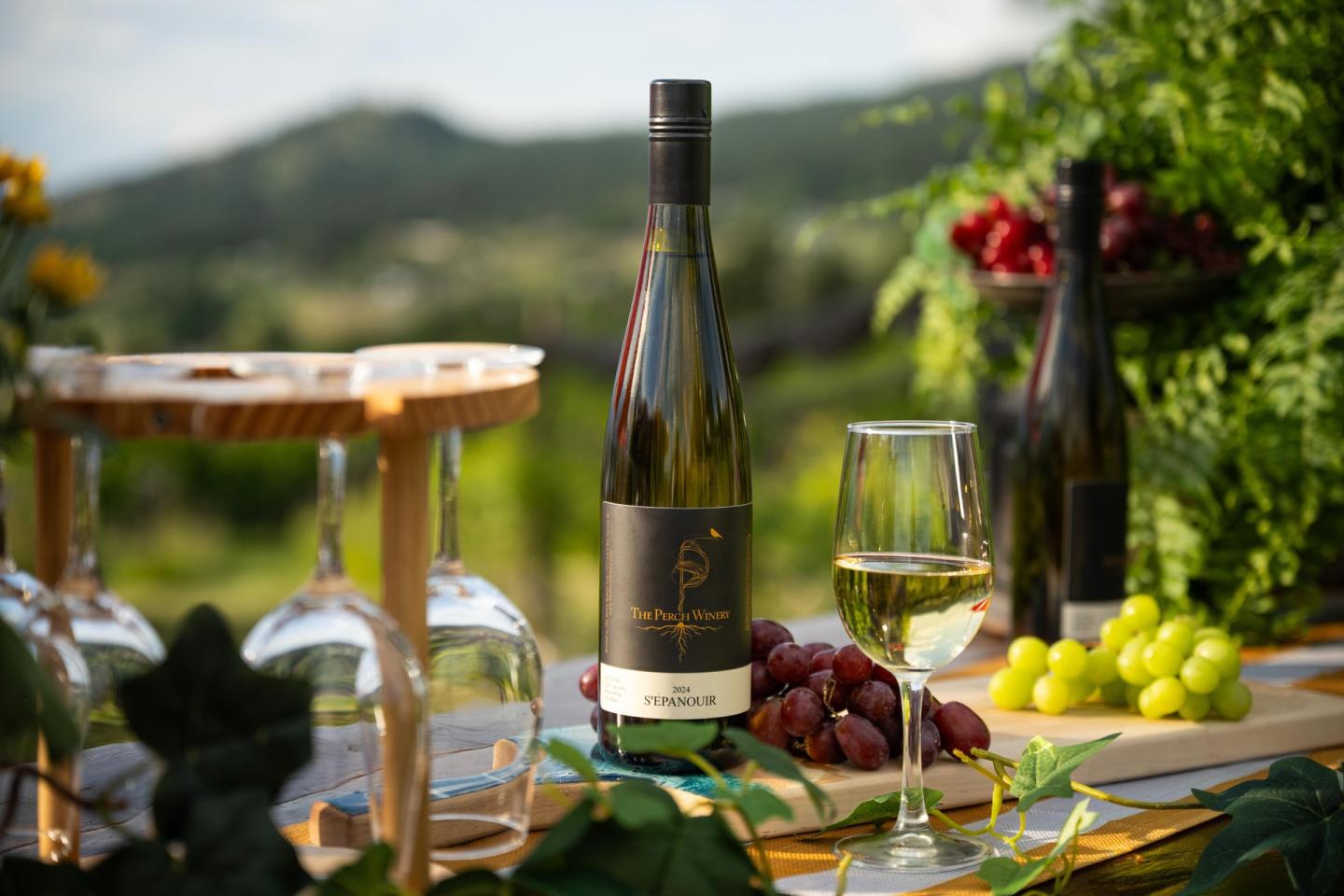 Sip Happens Wine Tours Photo