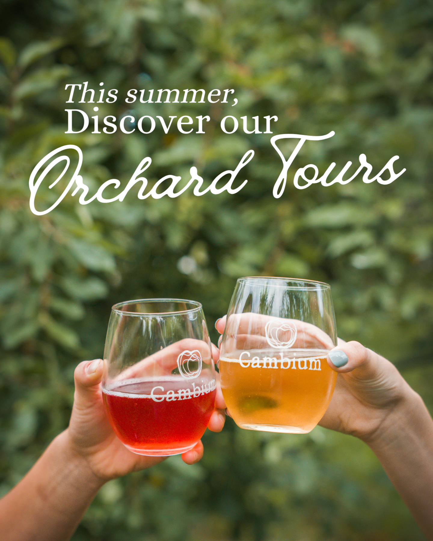 Orchard Tours Event Poster