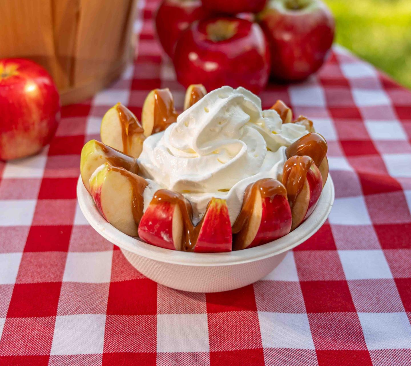 Apple Harvest Fest 2026 Event Photo