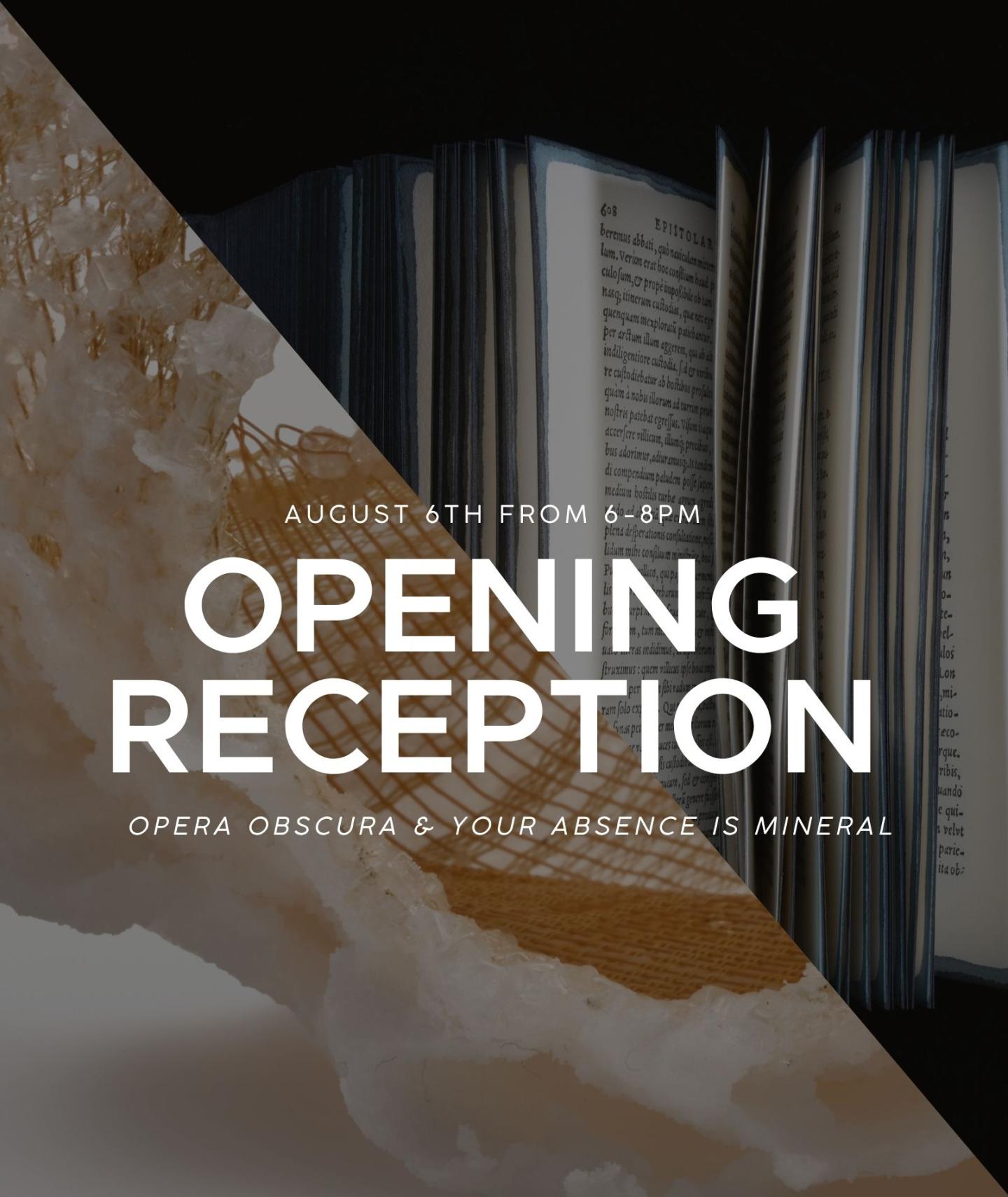 Opening Reception for 'Opera Obscura' & 'Your Absence is Mineral' Event Photo