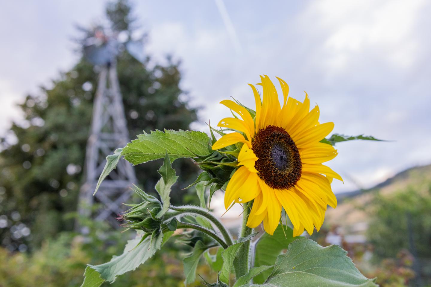 BX Farm Tour