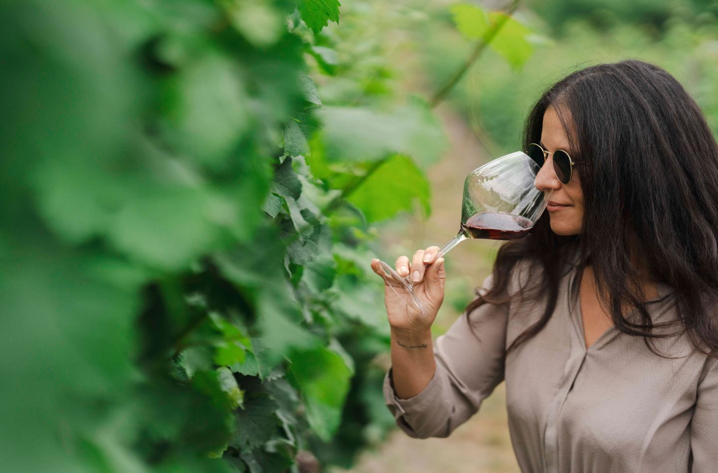 A woman walking through a vineyard. She has stopped to smell the red wine in her Burgundy shaped glass.