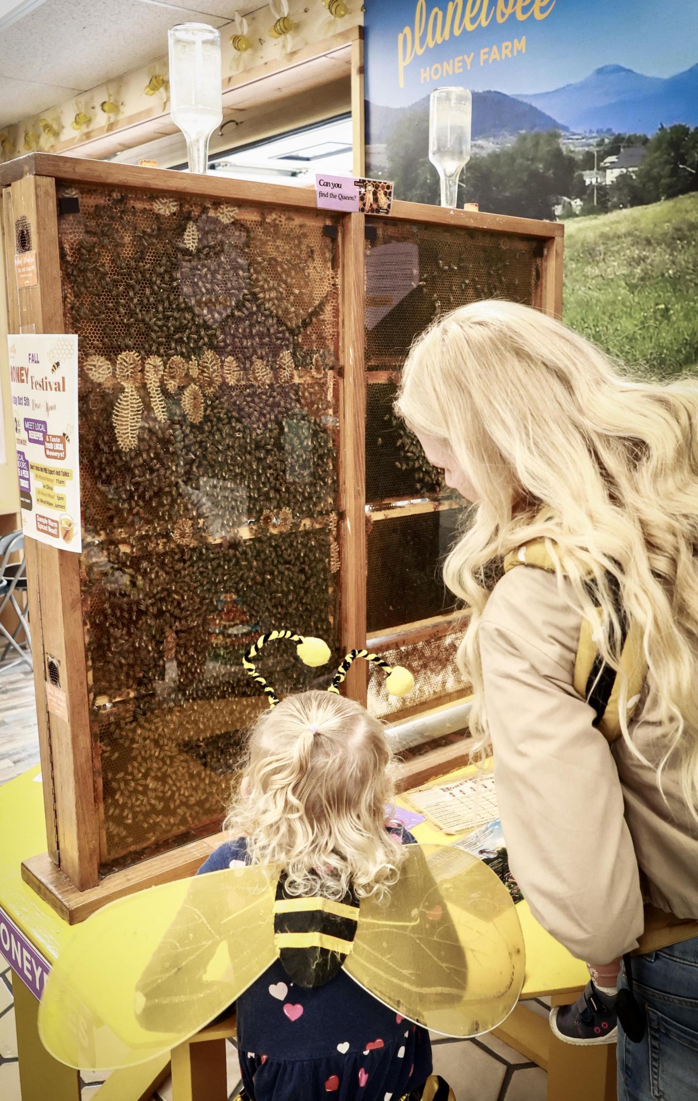 Child and Parent Viewing Honey Bee Hive 