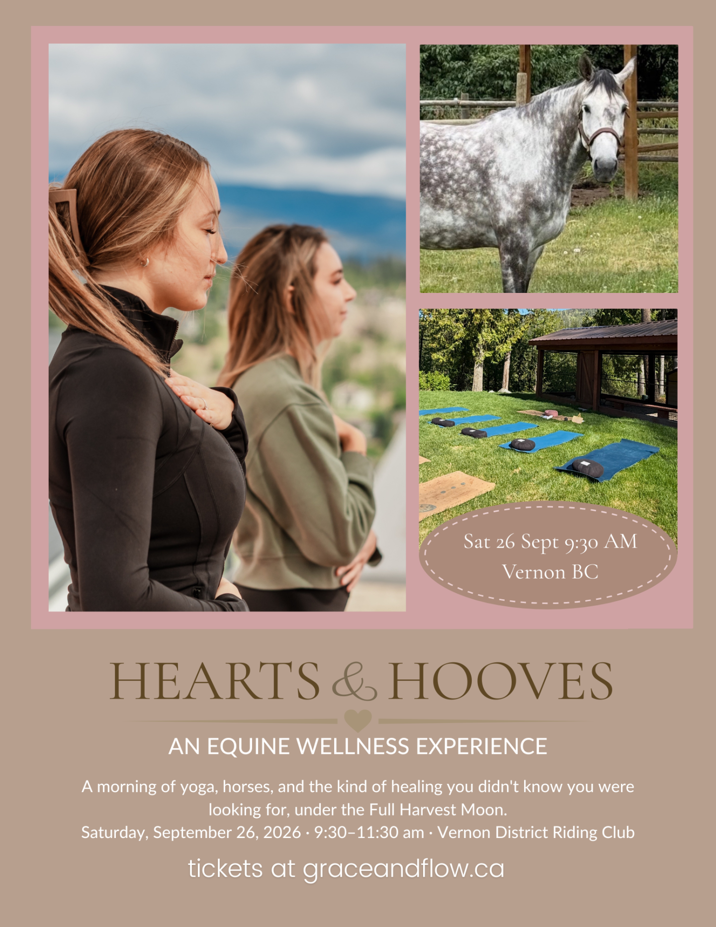 hearts and hooves outdoor yoga with horses