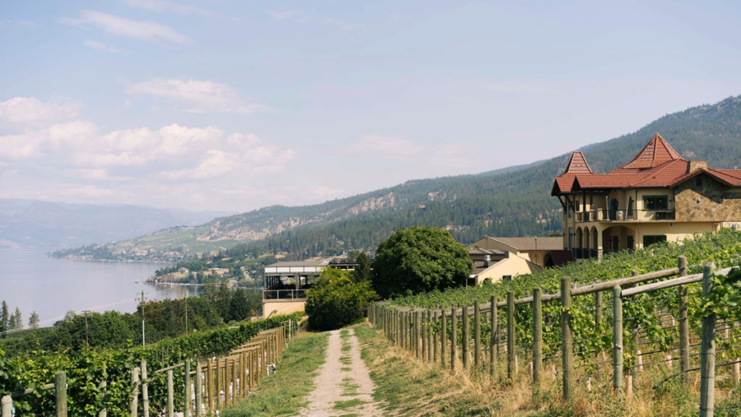 a hero shot of Gray Monk Estate Winery overlooking the vineyard.