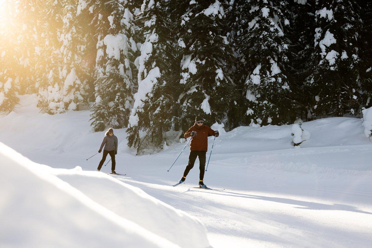 Two people cross-country skiing through a snowy forest in warm sunlight.