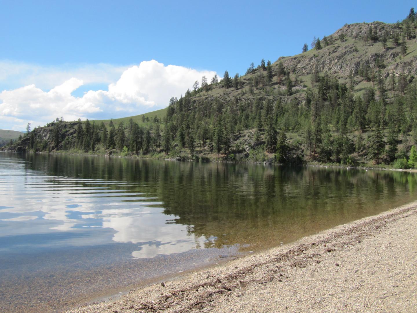 Cosens Bay, Kal Park