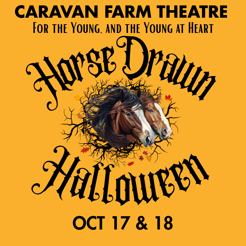 two horses surrounded by fall leaves