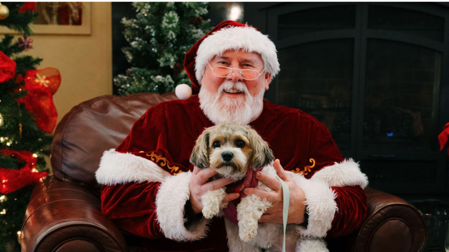 a photo with Santa inside the Gray Monk winery.