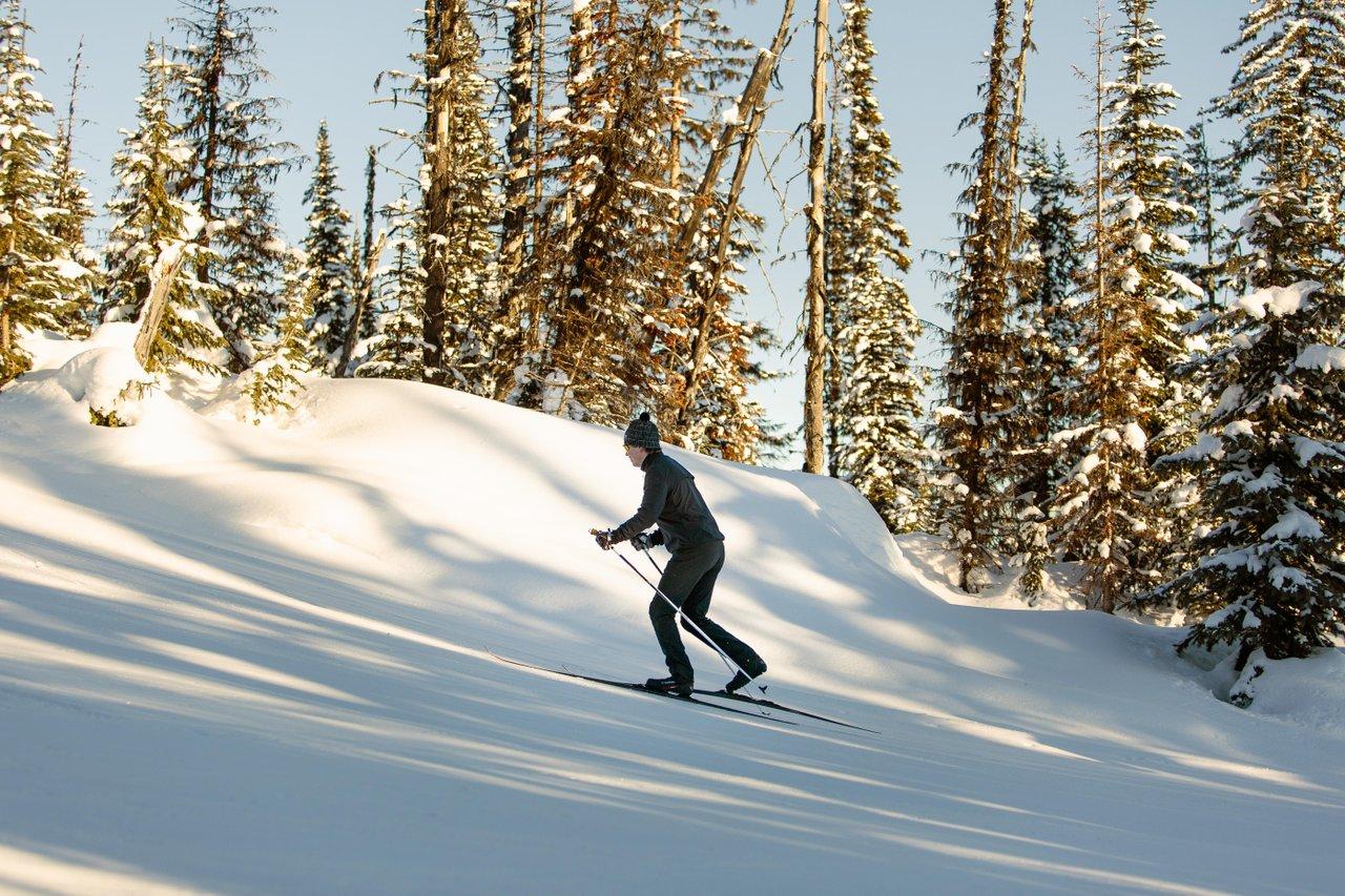 Snowboarder carving down a sunlit snowy slope among tall pine trees.