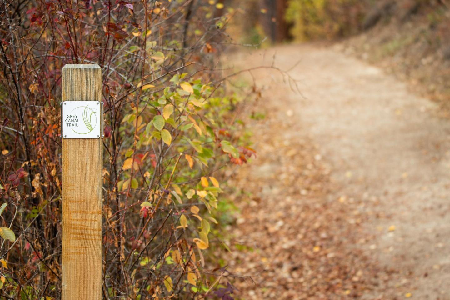 Wooden trail marker beside an autumn forest path.